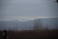 Imagine atasata: IMG_1184.JPG